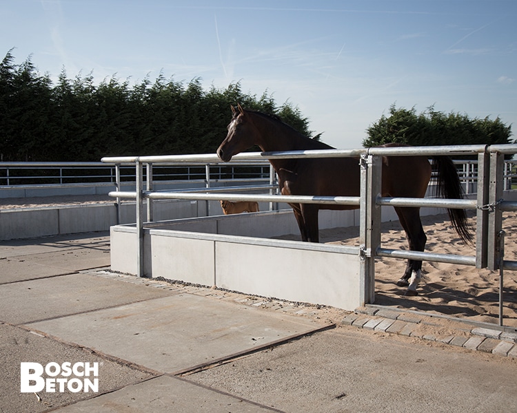 Bosch Beton - Paddocks van keerwanden voor Arabische renpaarden