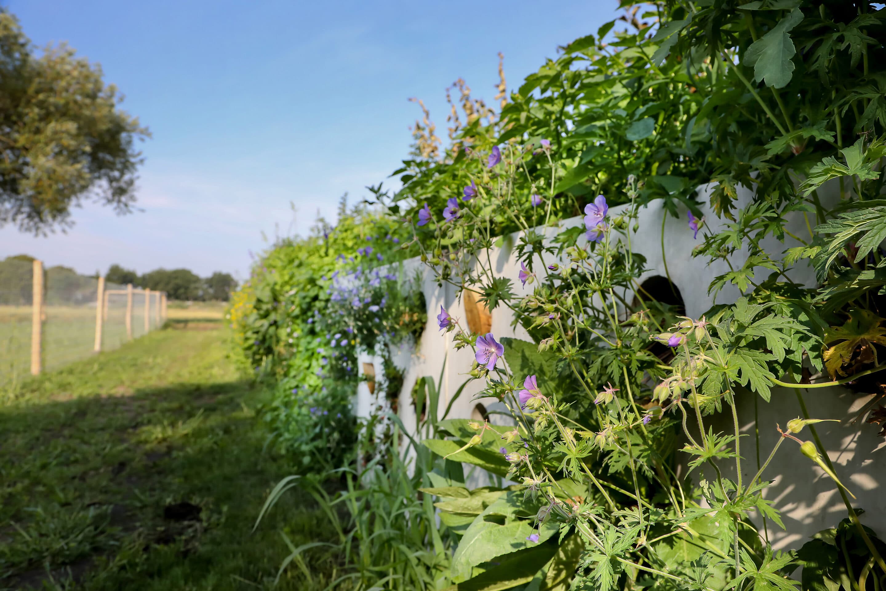 Bosch Beton - De bio-keerwand draagt positief bij aan biodiversiteit