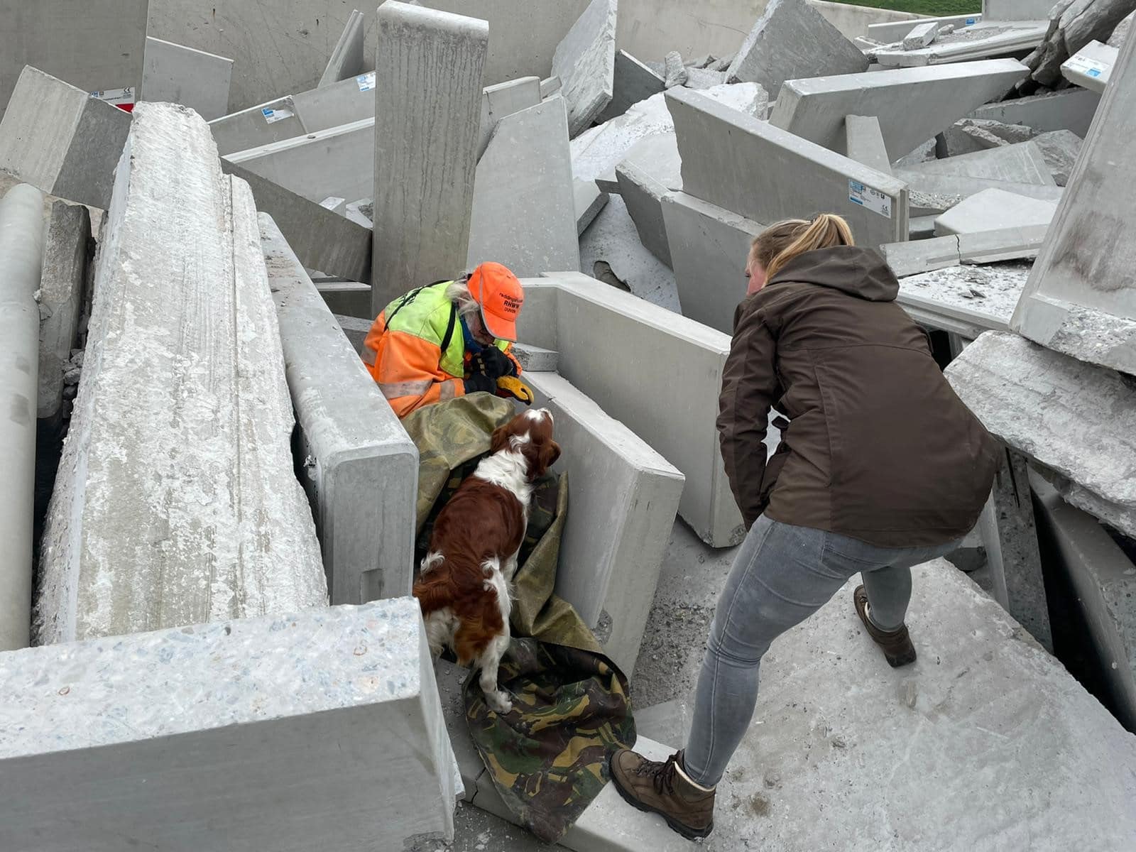 Reddingshonden trainen op terrein bij Bosch Beton